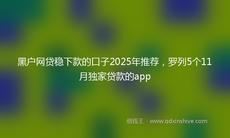 黑户网贷稳下款的口子2025年推荐，罗列5个11月独家贷款的app