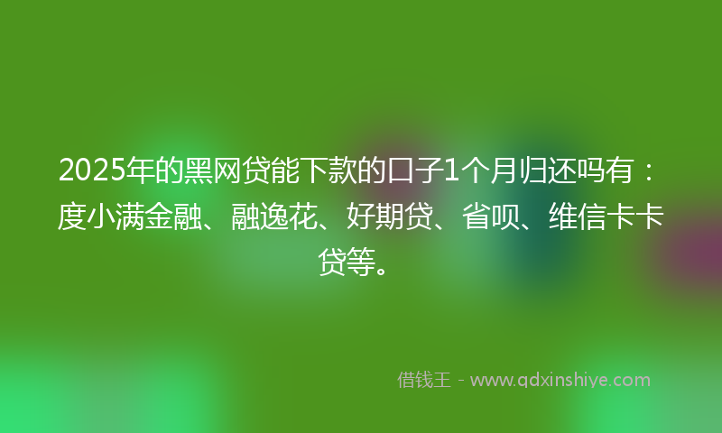 2025年的黑网贷能下款的口子1个月归还吗有：度小满金融、融逸花、好期贷、省呗、维信卡卡贷等。