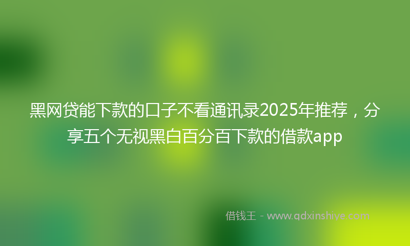 黑网贷能下款的口子不看通讯录2025年推荐，分享五个无视黑白百分百下款的借款app