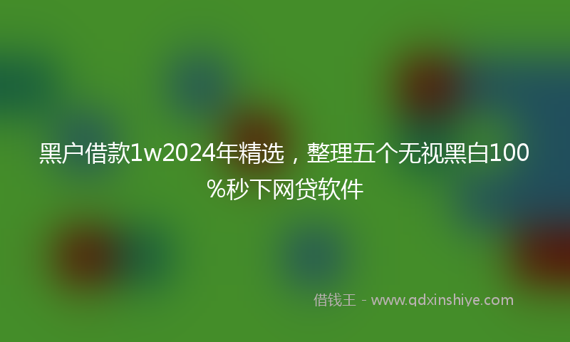 黑户借款1w2024年精选，整理五个无视黑白100%秒下网贷软件
