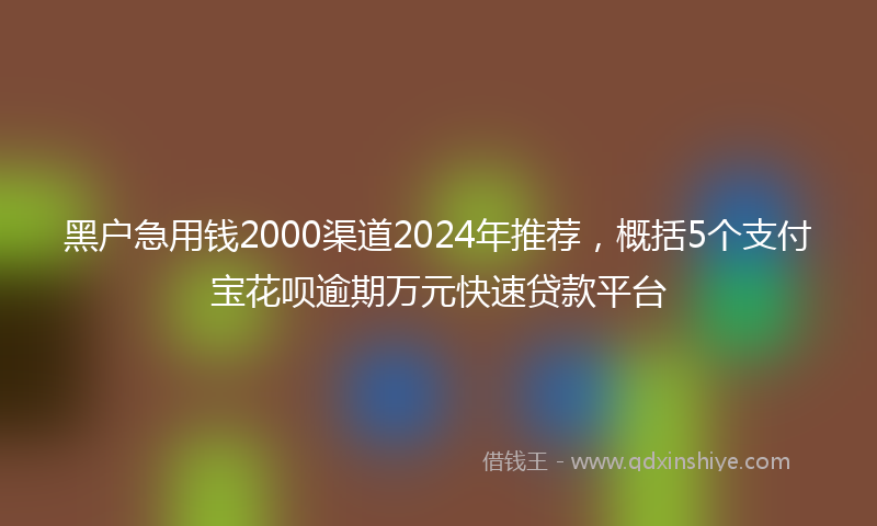 黑户急用钱2000渠道2024年推荐，概括5个支付宝花呗逾期万元快速贷款平台