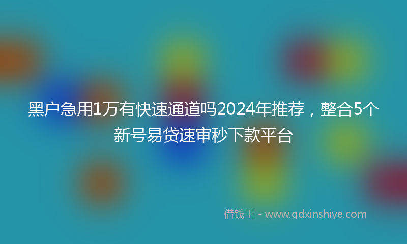 黑户急用1万有快速通道吗2024年推荐，整合5个新号易贷速审秒下款平台