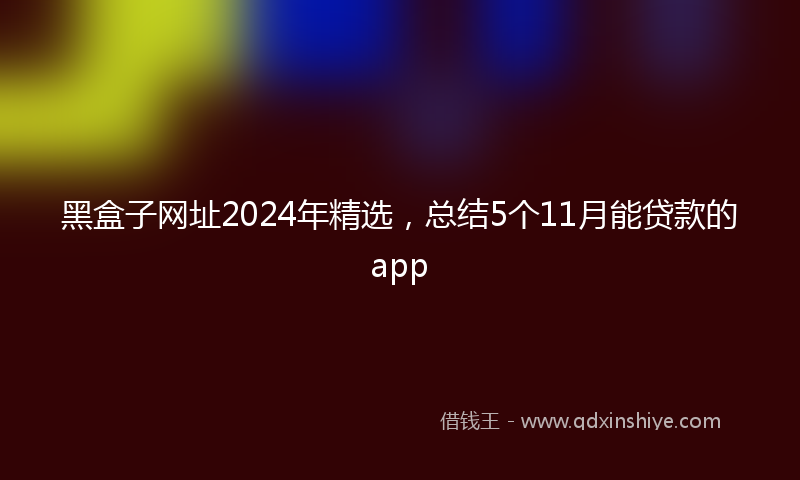 黑盒子网址2024年精选，总结5个11月能贷款的app