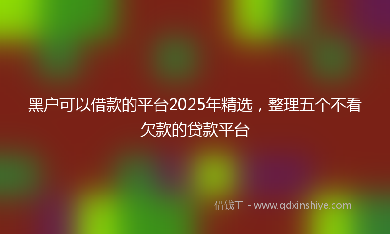 黑户可以借款的平台2025年精选，整理五个不看欠款的贷款平台