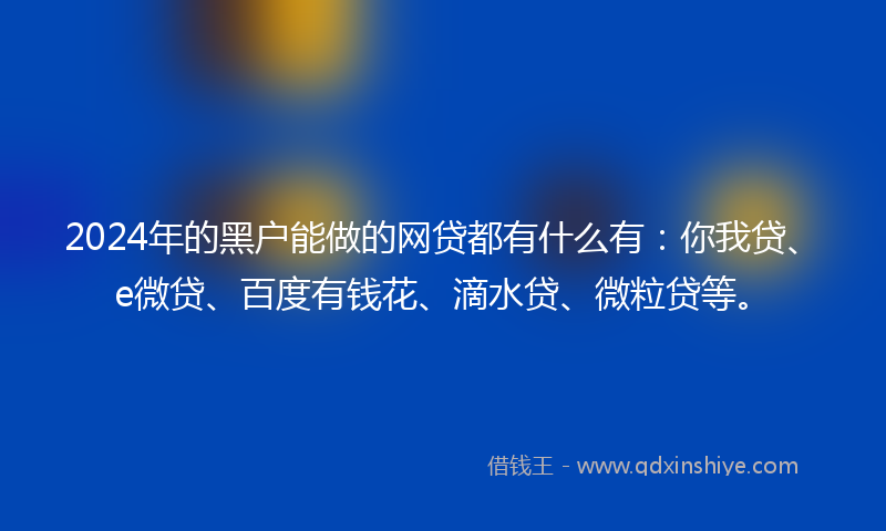 2024年的黑户能做的网贷都有什么有：你我贷、e微贷、百度有钱花、滴水贷、微粒贷等。