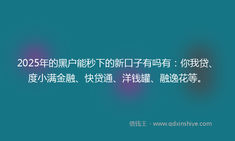 2025年的黑户能秒下的新口子有吗有：你我贷、度小满金融、快贷通、洋钱罐、融逸花等。