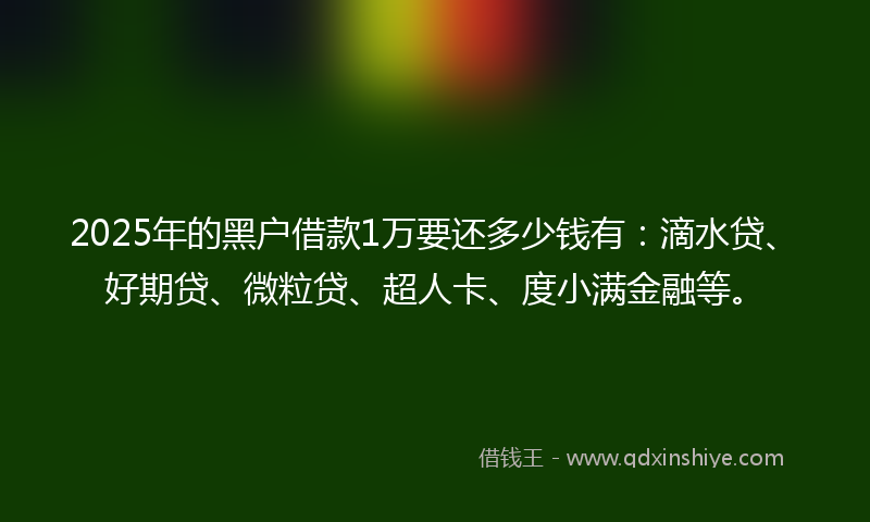 2025年的黑户借款1万要还多少钱有：滴水贷、好期贷、微粒贷、超人卡、度小满金融等。