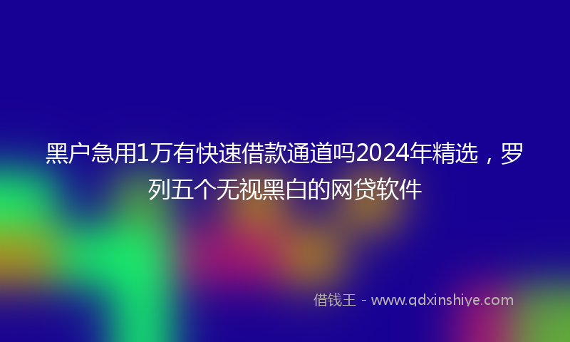 黑户急用1万有快速借款通道吗2024年精选，罗列五个无视黑白的网贷软件