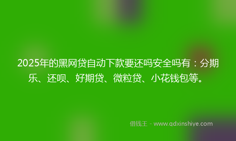 2025年的黑网贷自动下款要还吗安全吗有：分期乐、还呗、好期贷、微粒贷、小花钱包等。