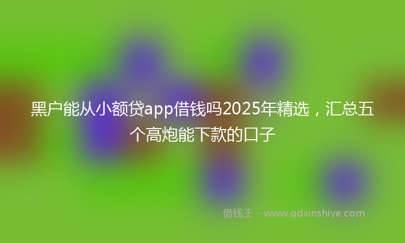 黑户能从小额贷app借钱吗2025年精选，汇总五个高炮能下款的口子