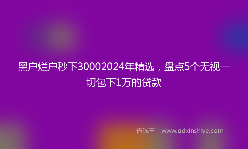 黑户烂户秒下30002024年精选，盘点5个无视一切包下1万的贷款