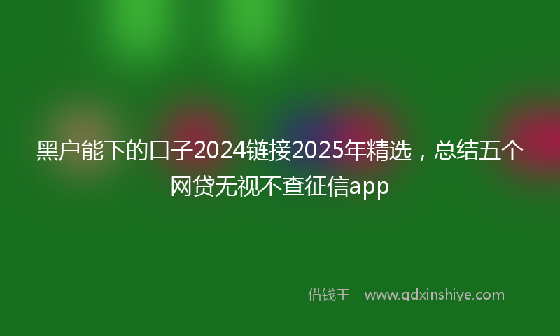 黑户能下的口子2024链接2025年精选，总结五个网贷无视不查征信app
