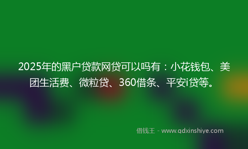2025年的黑户贷款网贷可以吗有：小花钱包、美团生活费、微粒贷、360借条、平安i贷等。