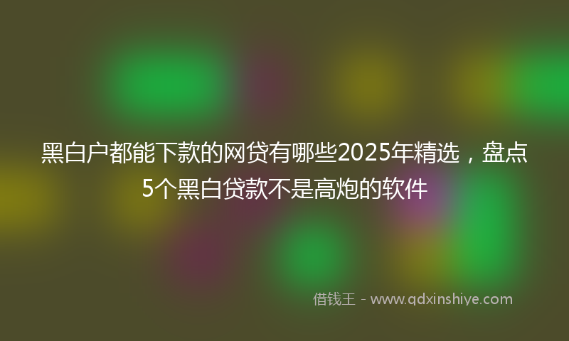 黑白户都能下款的网贷有哪些2025年精选，盘点5个黑白贷款不是高炮的软件