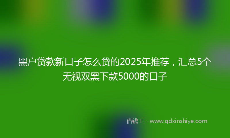 黑户贷款新口子怎么贷的2025年推荐，汇总5个无视双黑下款5000的口子