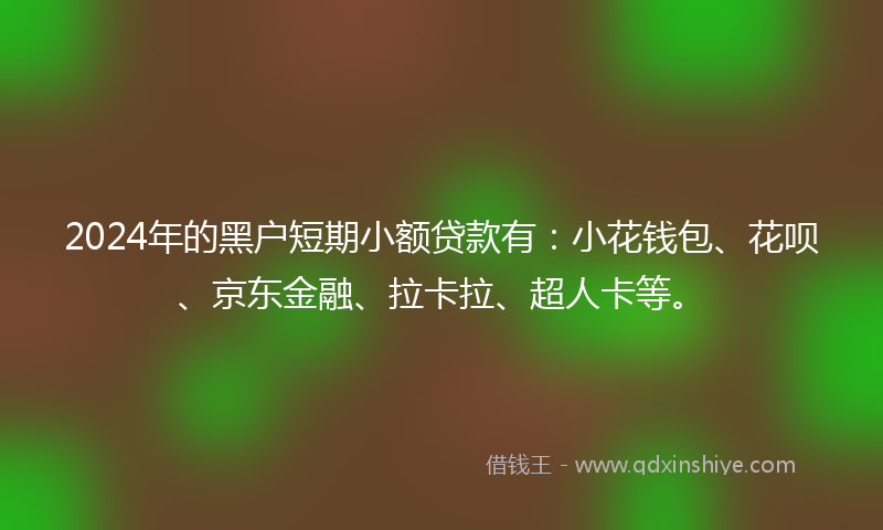 2024年的黑户短期小额贷款有：小花钱包、花呗、京东金融、拉卡拉、超人卡等。