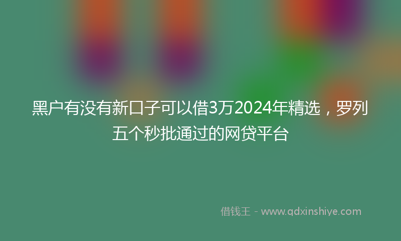 黑户有没有新口子可以借3万2024年精选，罗列五个秒批通过的网贷平台