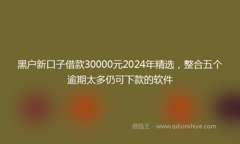 黑户新口子借款30000元2024年精选，整合五个逾期太多仍可下款的软件