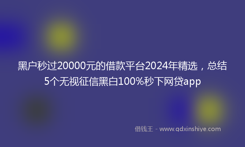 黑户秒过20000元的借款平台2024年精选，总结5个无视征信黑白100%秒下网贷app