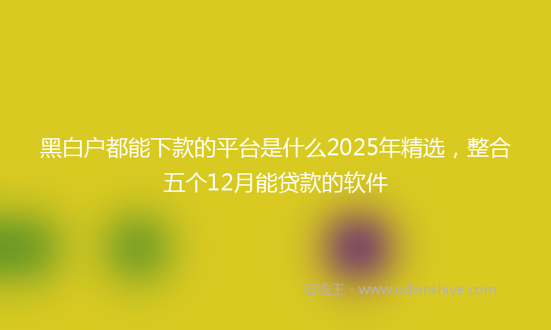 黑白户都能下款的平台是什么2025年精选，整合五个12月能贷款的软件
