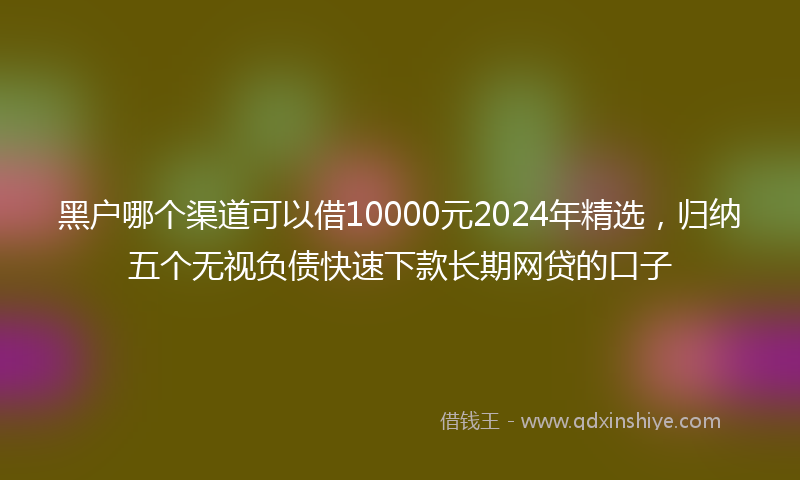 黑户哪个渠道可以借10000元2024年精选，归纳五个无视负债快速下款长期网贷的口子