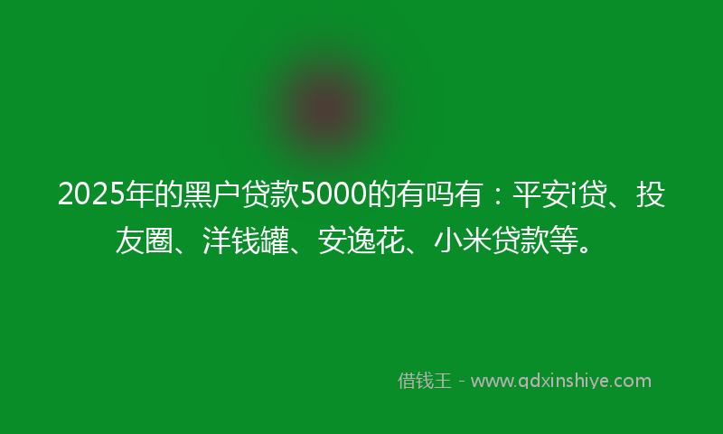 2025年的黑户贷款5000的有吗有：平安i贷、投友圈、洋钱罐、安逸花、小米贷款等。