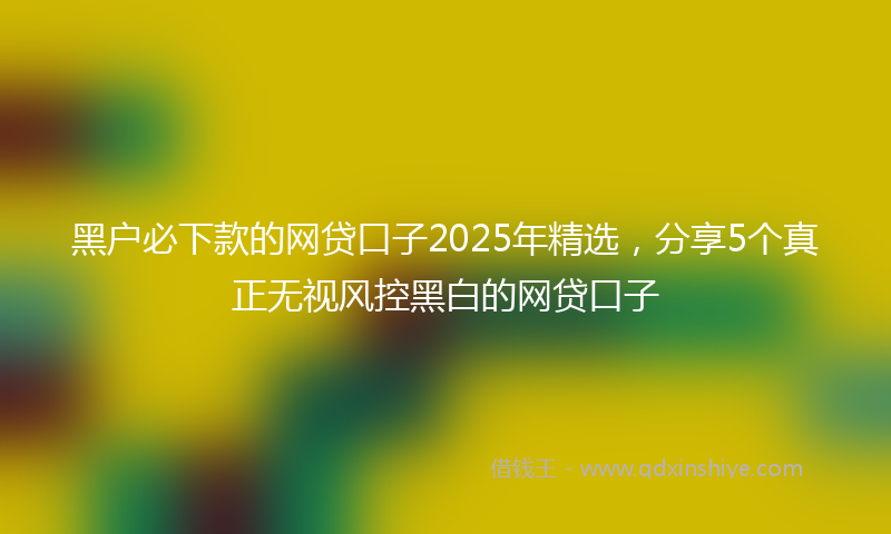 黑户必下款的网贷口子2025年精选，分享5个真正无视风控黑白的网贷口子
