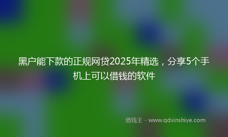 黑户能下款的正规网贷2025年精选，分享5个手机上可以借钱的软件