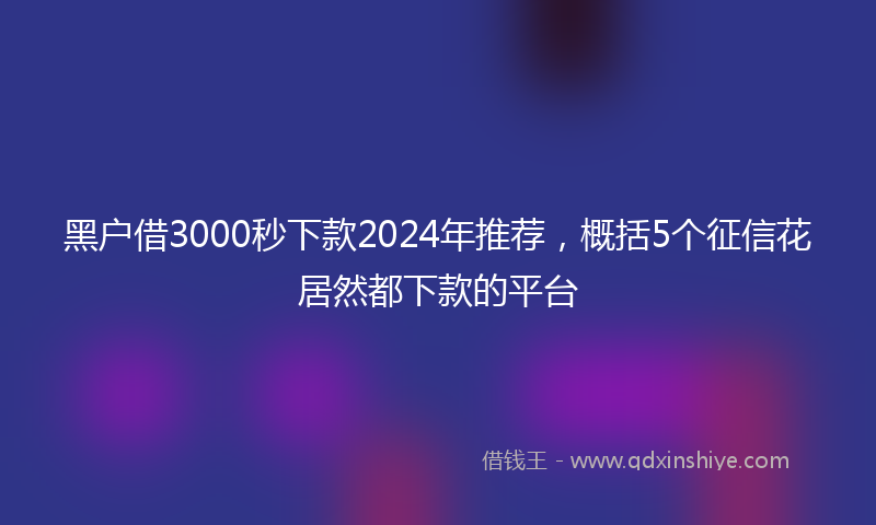 黑户借3000秒下款2024年推荐，概括5个征信花居然都下款的平台