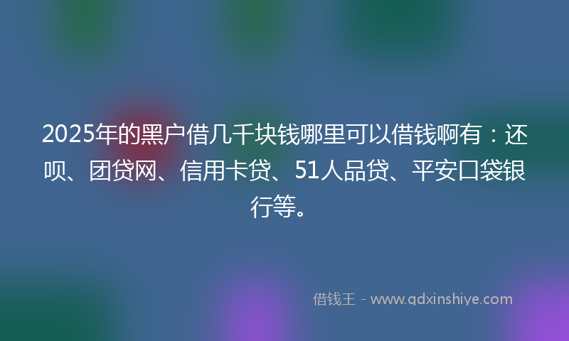 2025年的黑户借几千块钱哪里可以借钱啊有：还呗、团贷网、信用卡贷、51人品贷、平安口袋银行等。