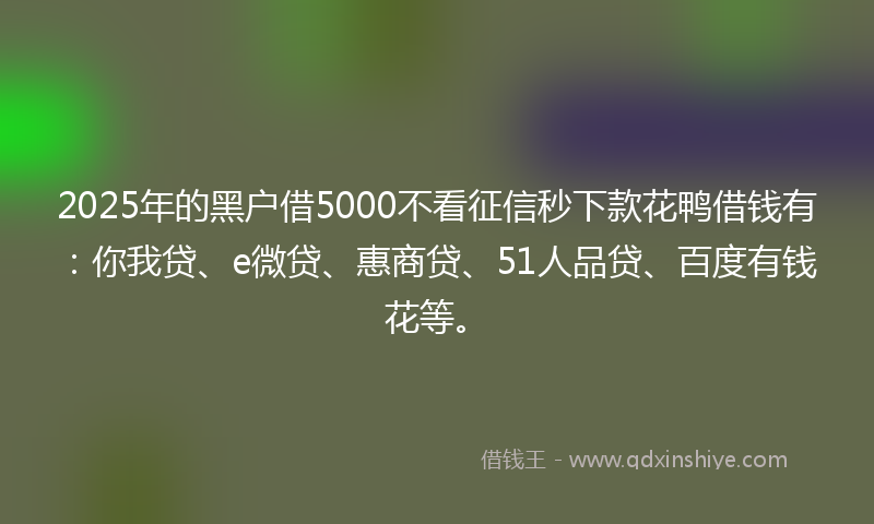 2025年的黑户借5000不看征信秒下款花鸭借钱有：你我贷、e微贷、惠商贷、51人品贷、百度有钱花等。