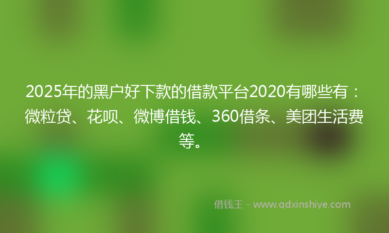 2025年的黑户好下款的借款平台2020有哪些有：微粒贷、花呗、微博借钱、360借条、美团生活费等。