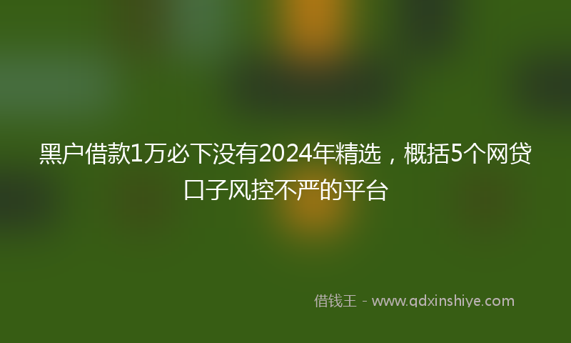 黑户借款1万必下没有2024年精选，概括5个网贷口子风控不严的平台