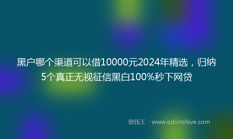 黑户哪个渠道可以借10000元2024年精选，归纳5个真正无视征信黑白100%秒下网贷