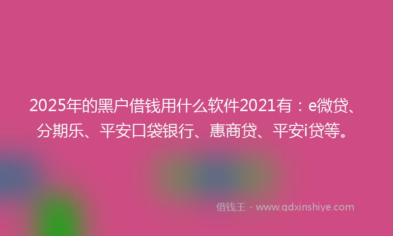 2025年的黑户借钱用什么软件2021有：e微贷、分期乐、平安口袋银行、惠商贷、平安i贷等。