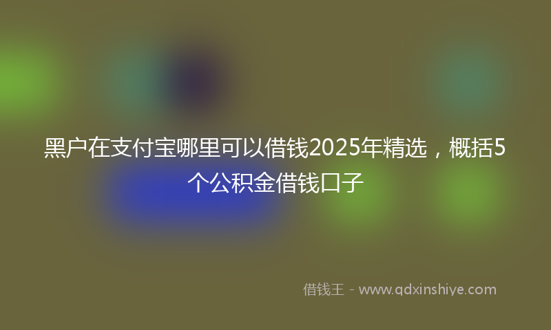 黑户在支付宝哪里可以借钱2025年精选，概括5个公积金借钱口子