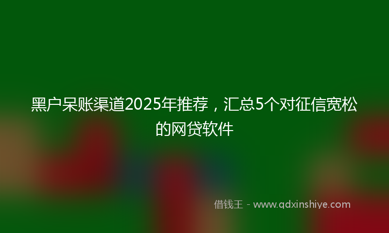 黑户呆账渠道2025年推荐，汇总5个对征信宽松的网贷软件