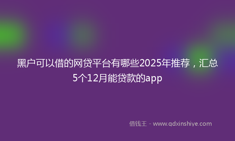 黑户可以借的网贷平台有哪些2025年推荐，汇总5个12月能贷款的app