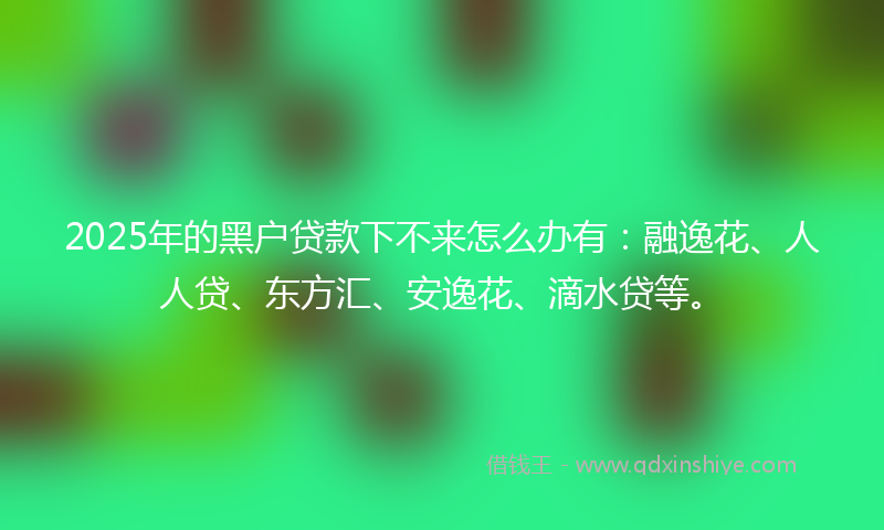 2025年的黑户贷款下不来怎么办有：融逸花、人人贷、东方汇、安逸花、滴水贷等。