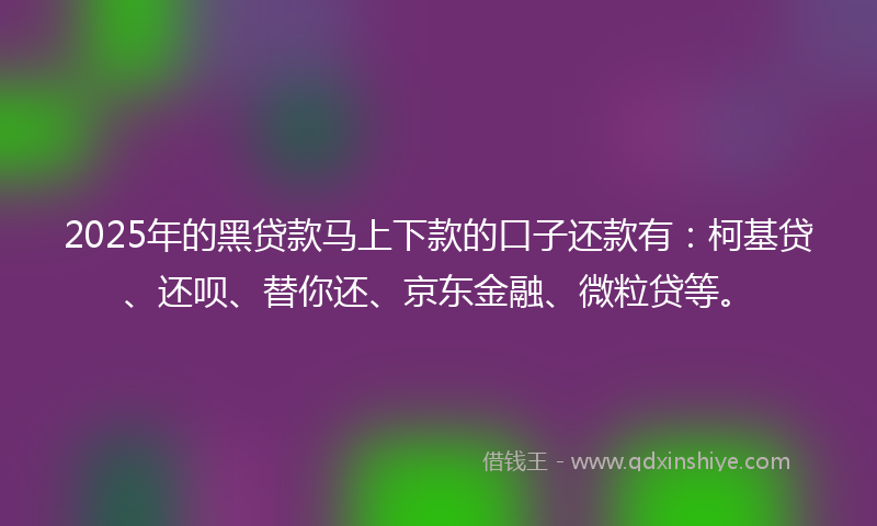 2025年的黑贷款马上下款的口子还款有：柯基贷、还呗、替你还、京东金融、微粒贷等。