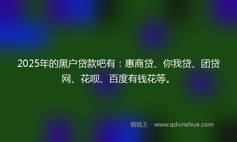 2025年的黑户贷款吧有：惠商贷、你我贷、团贷网、花呗、百度有钱花等。