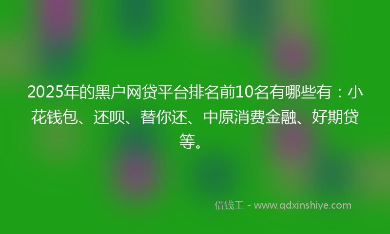 2025年的黑户网贷平台排名前10名有哪些有：小花钱包、还呗、替你还、中原消费金融、好期贷等。