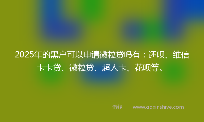 2025年的黑户可以申请微粒贷吗有：还呗、维信卡卡贷、微粒贷、超人卡、花呗等。