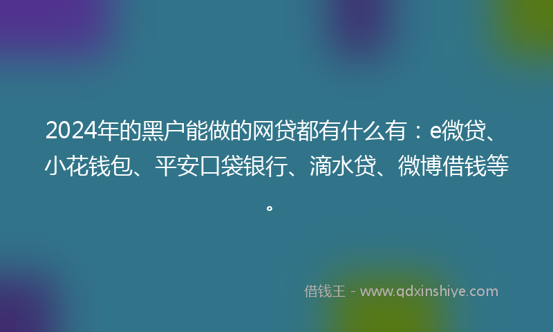 2024年的黑户能做的网贷都有什么有：e微贷、小花钱包、平安口袋银行、滴水贷、微博借钱等。