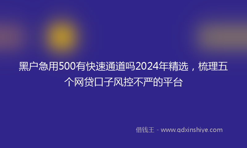黑户急用500有快速通道吗2024年精选，梳理五个网贷口子风控不严的平台