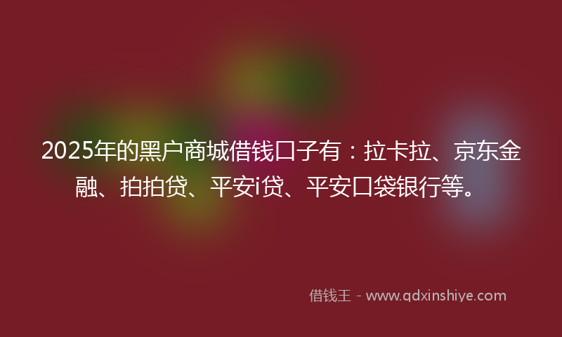 2025年的黑户商城借钱口子有：拉卡拉、京东金融、拍拍贷、平安i贷、平安口袋银行等。