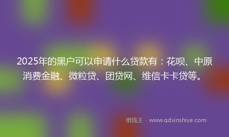 2025年的黑户可以申请什么贷款有：花呗、中原消费金融、微粒贷、团贷网、维信卡卡贷等。