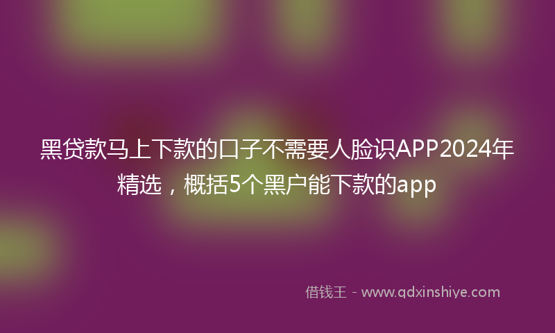 黑贷款马上下款的口子不需要人脸识APP2024年精选，概括5个黑户能下款的app