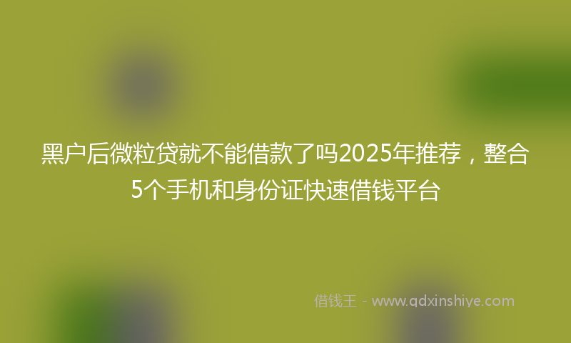 黑户后微粒贷就不能借款了吗2025年推荐，整合5个手机和身份证快速借钱平台