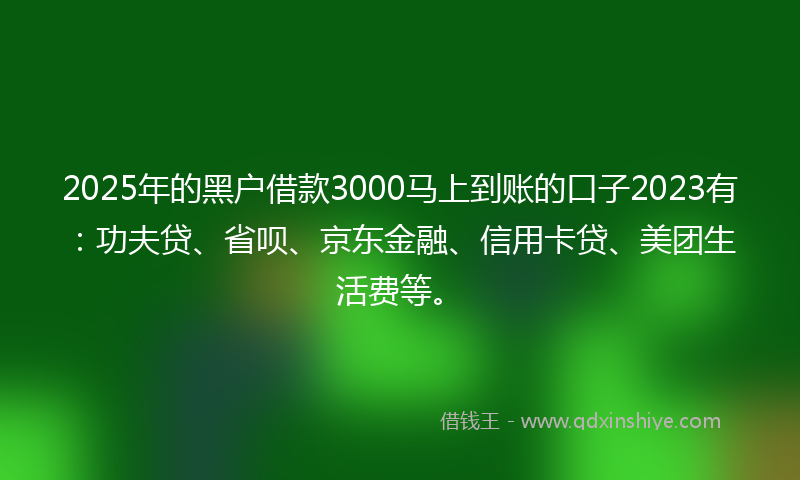 2025年的黑户借款3000马上到账的口子2023有：功夫贷、省呗、京东金融、信用卡贷、美团生活费等。